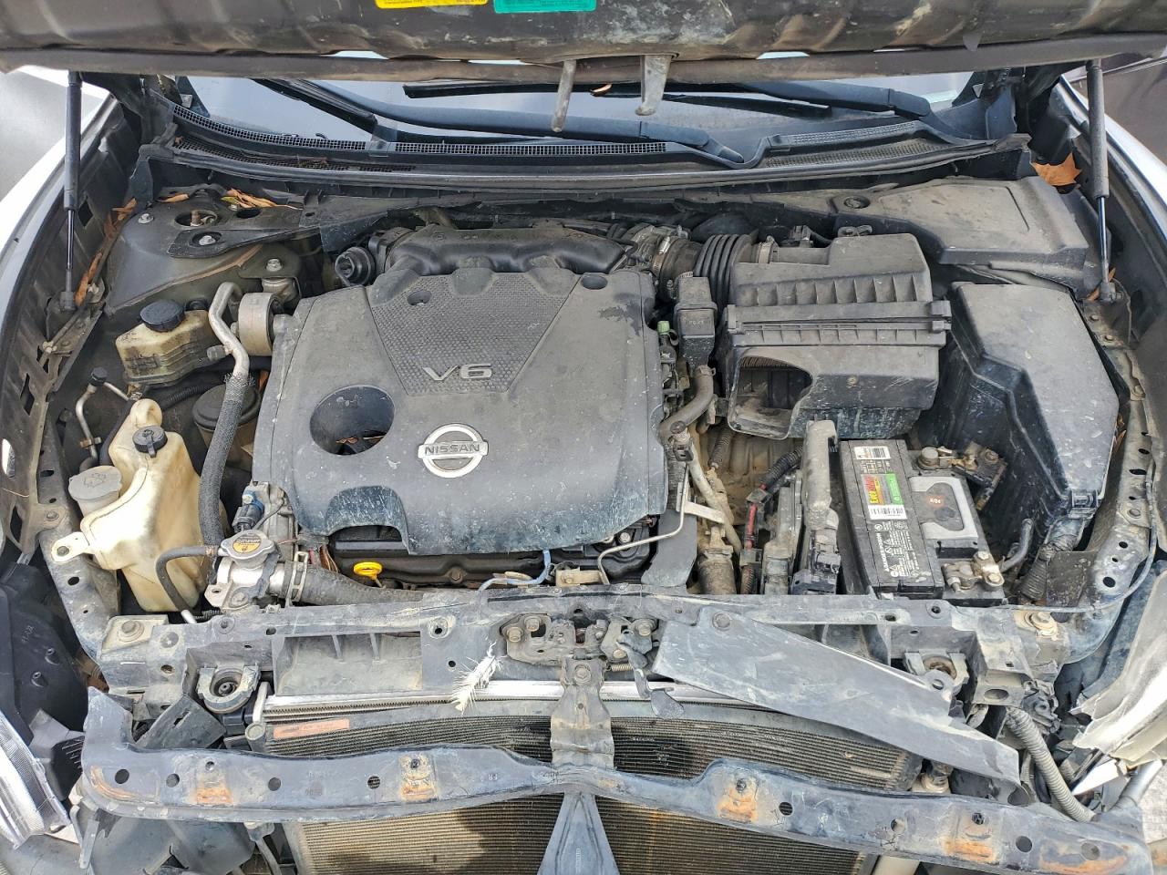 Nissan Maxima S Image 2