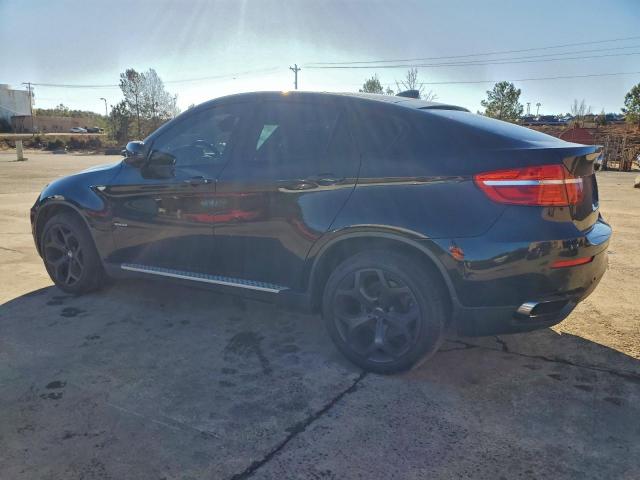 BMW X Series Xdrive50i Image 5