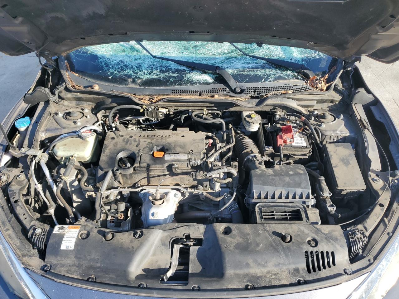 Honda Civic Lx Image 10