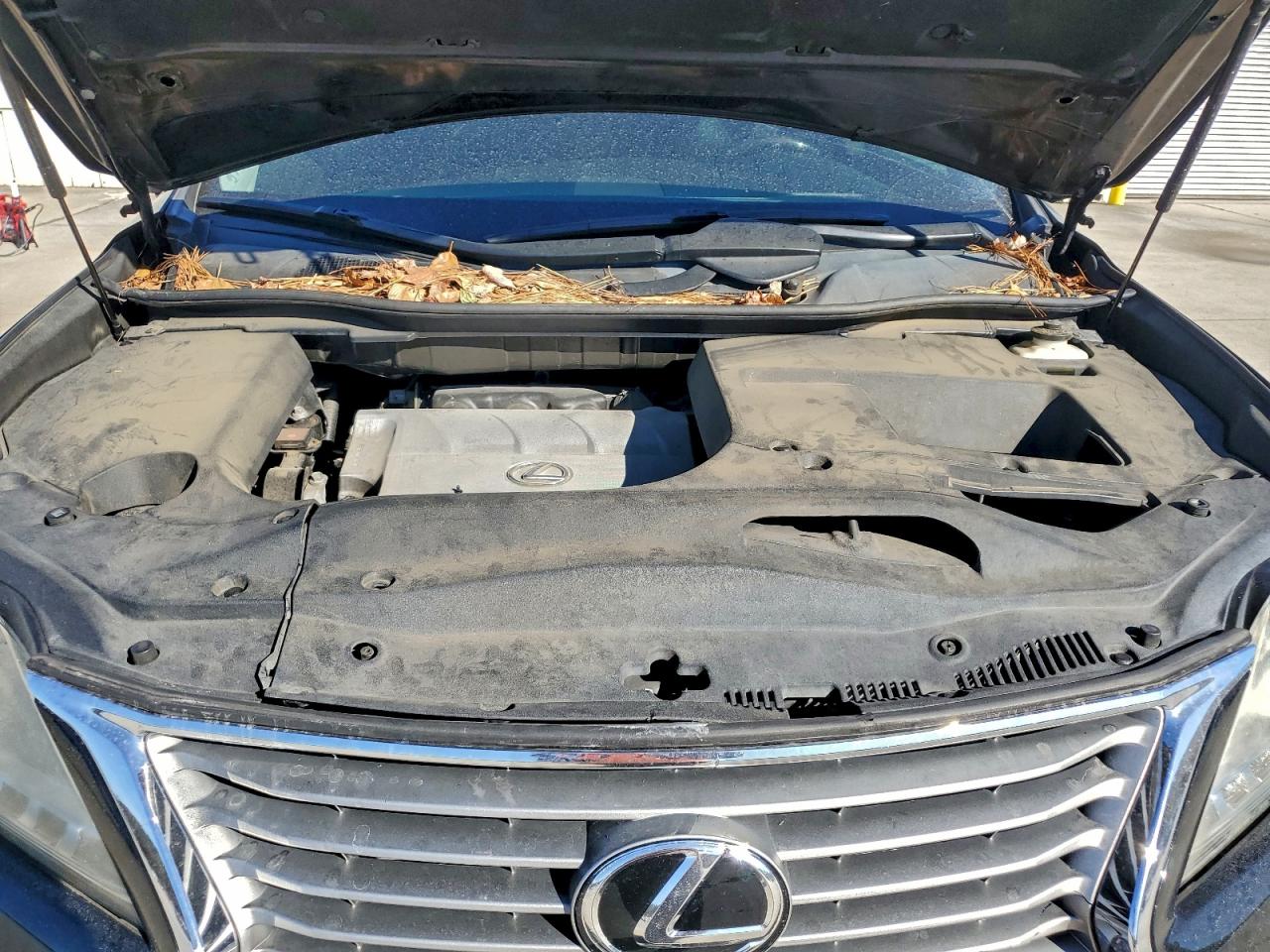 Lexus RX 350 Base Image 6