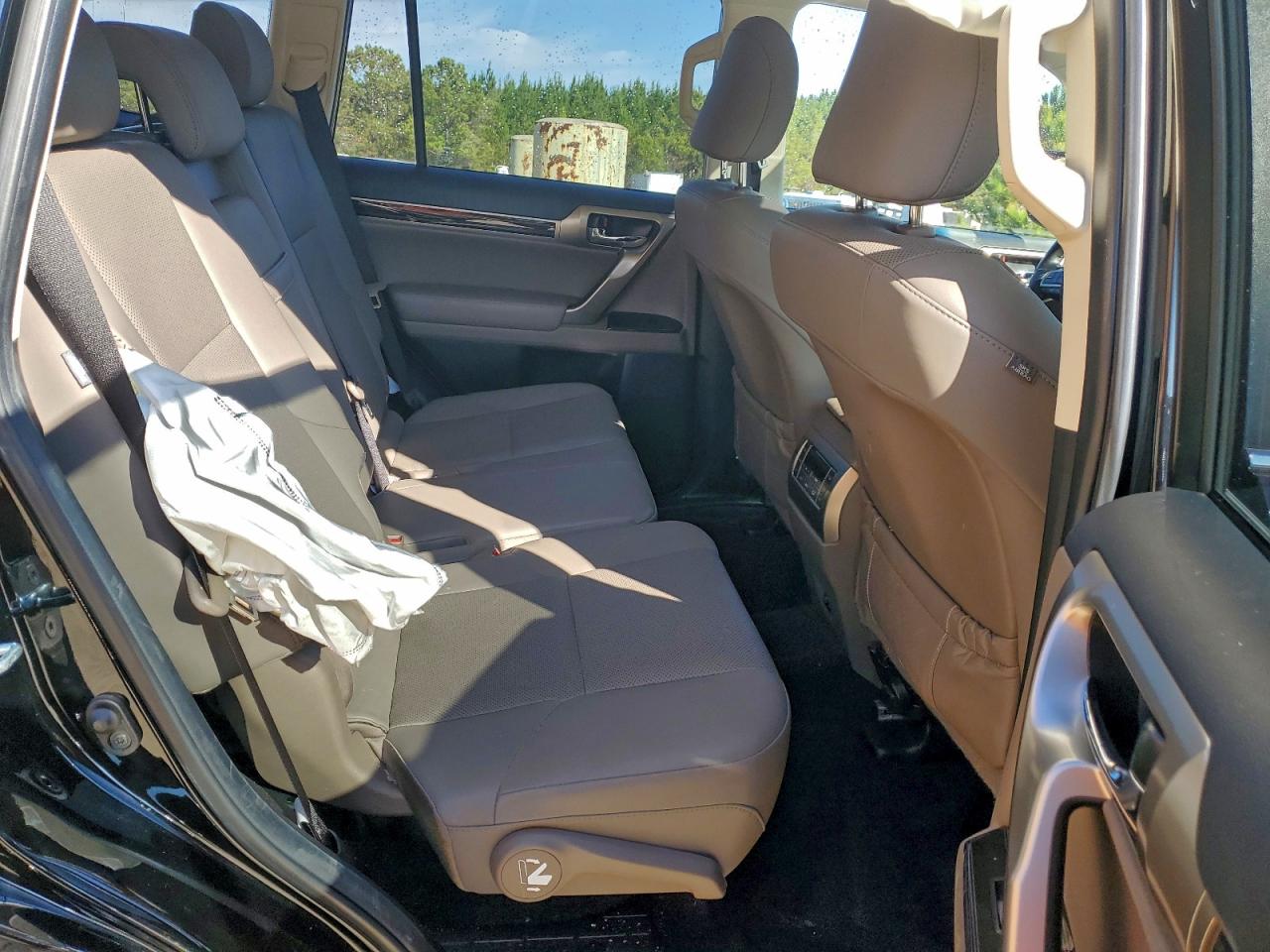 Lexus Gx 460 Premium Image 10