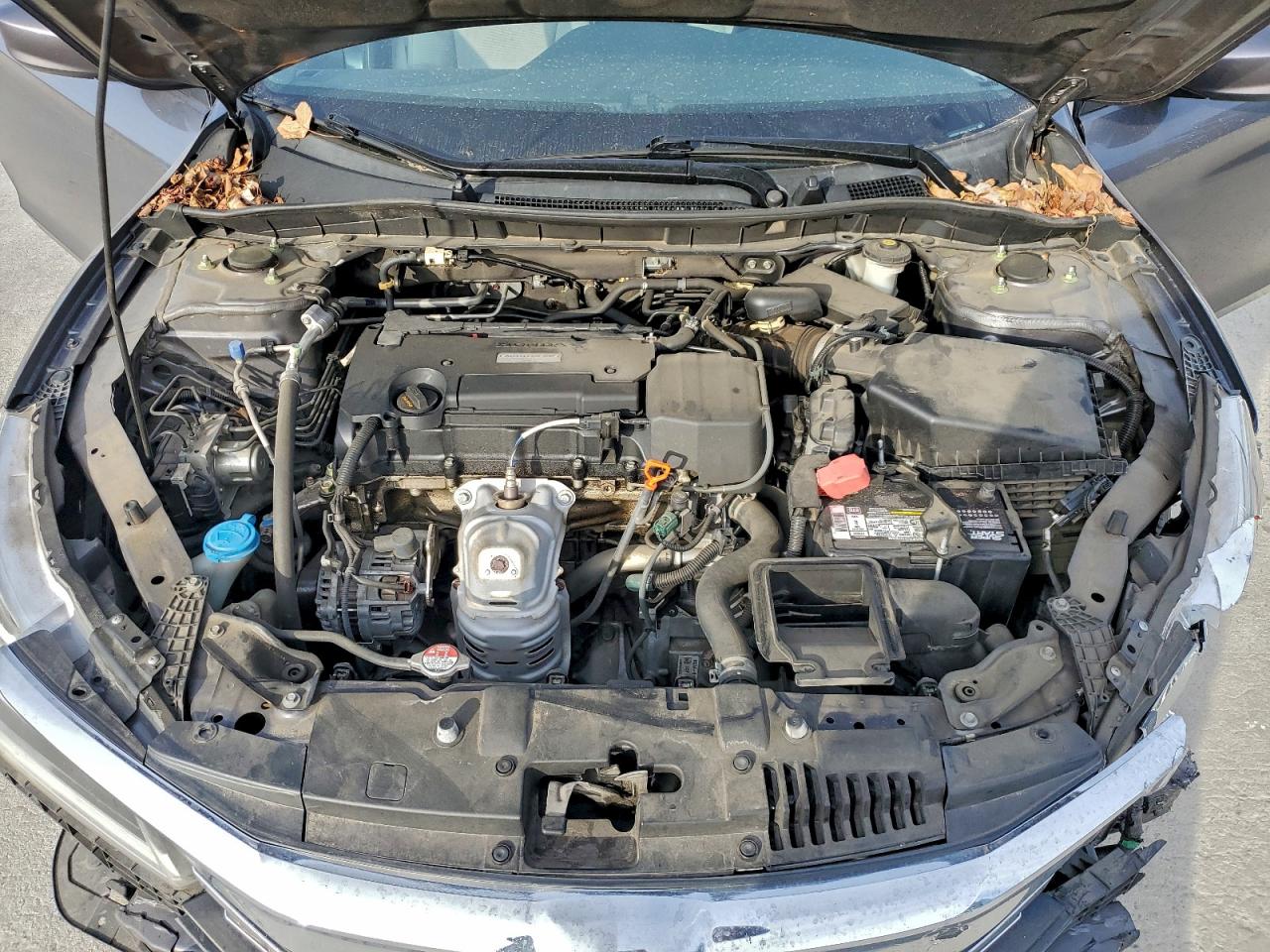 Honda Accord Lx Image 8