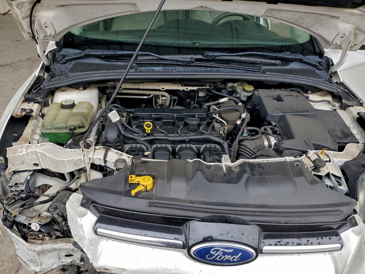 Ford Focus Sel Image 2