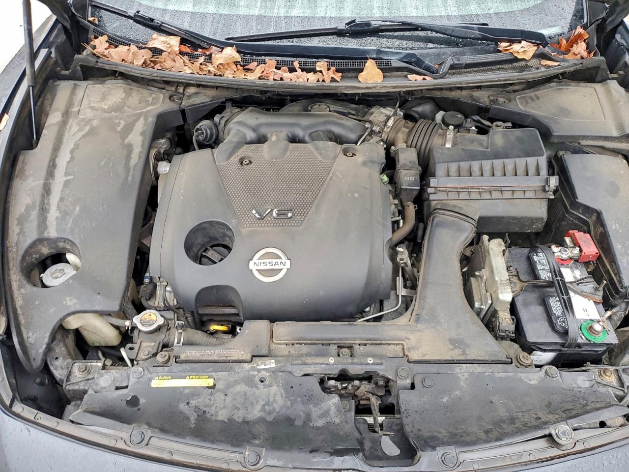 Nissan Maxima S Image 9