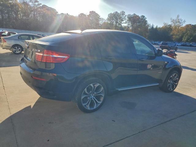 BMW X Series Xdrive50i Image 2