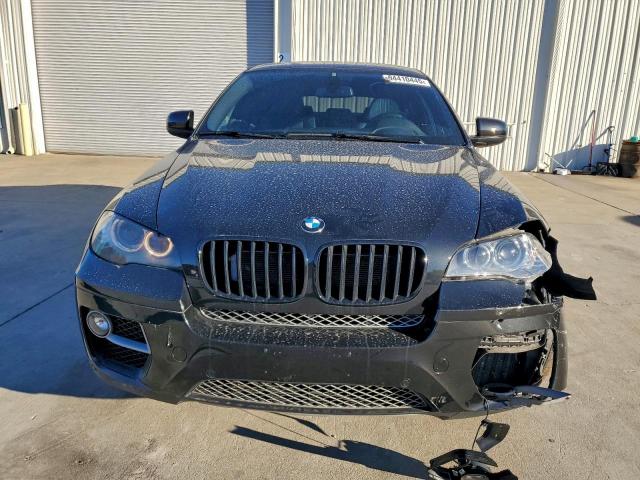 BMW X Series Xdrive50i Image 5