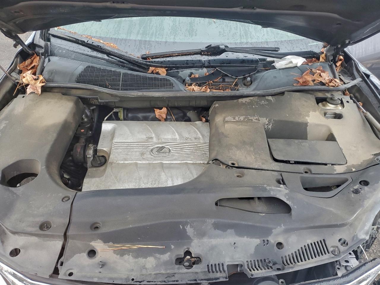 Lexus RX 350 Image 4