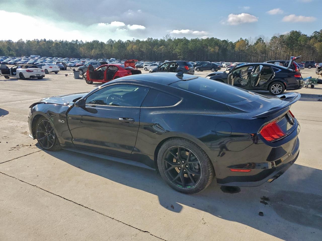 Ford Mustang Gt Image 8