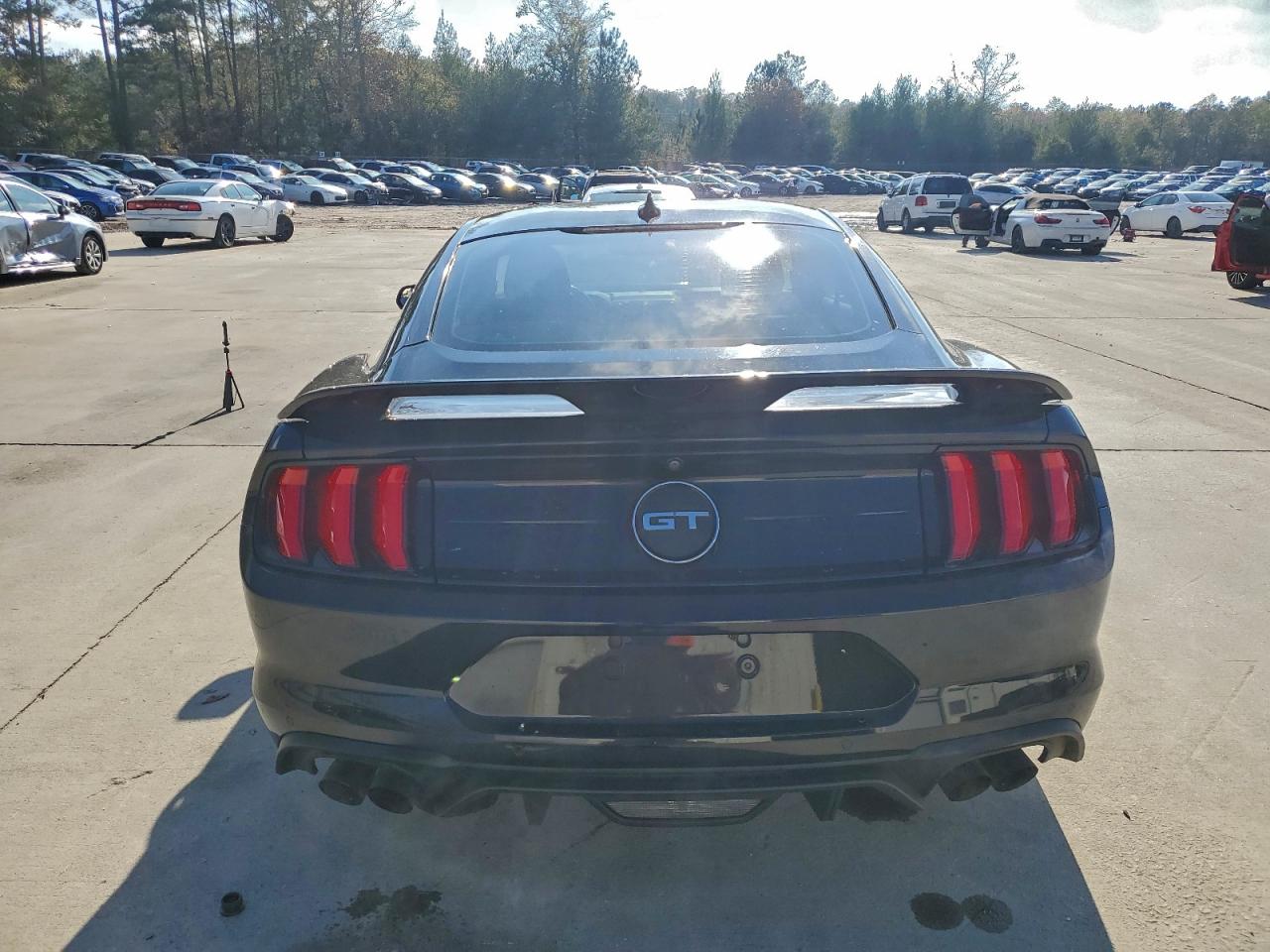 Ford Mustang Gt Image 3