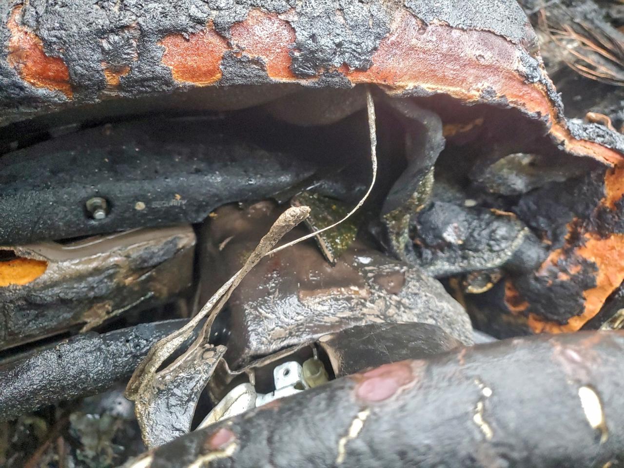 Lexus LS 400 Image 11