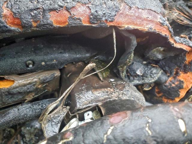 Lexus LS 400 Image 11