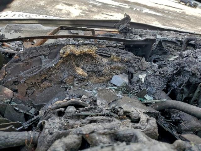 Cadillac Escalade Esv Image 7