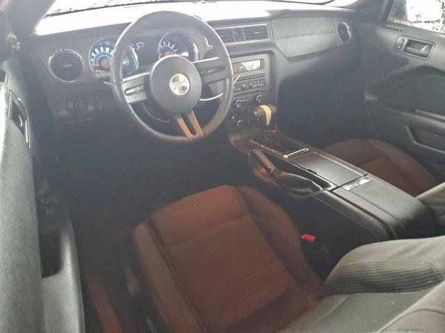 Ford Mustang Image 12