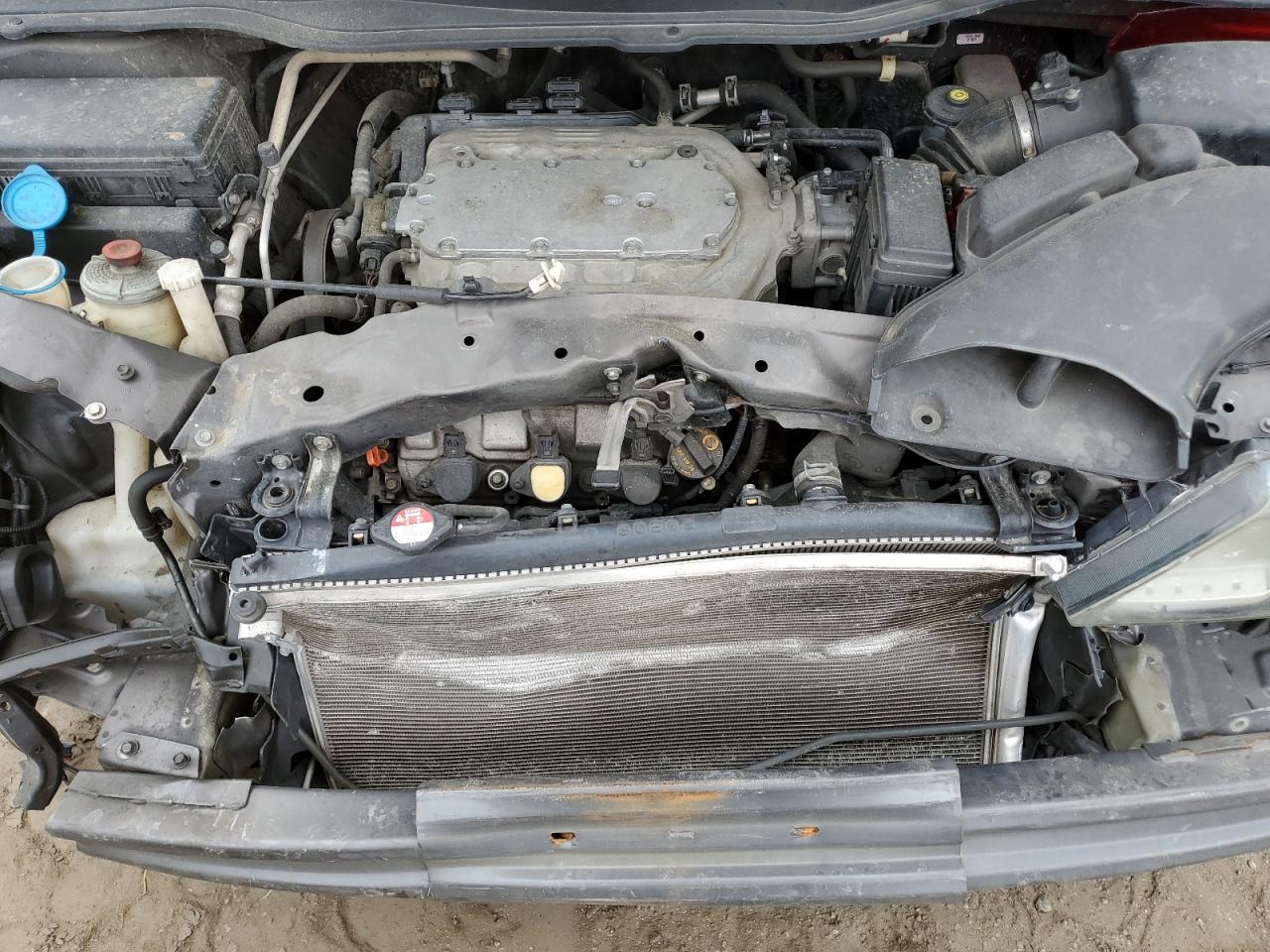 Honda Odyssey Exl Image 6