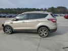 Ford Escape Titanium Image 5