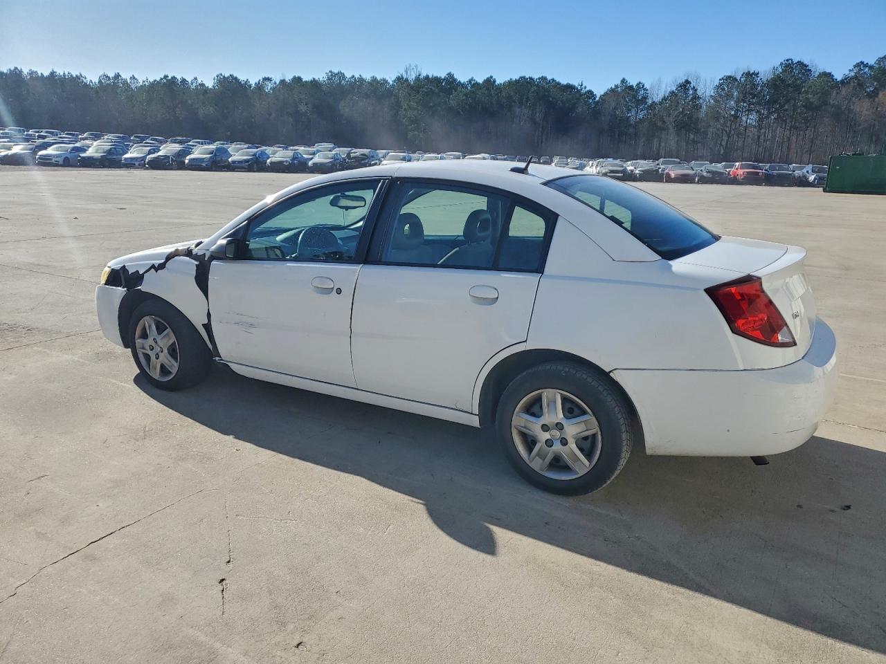 Saturn Ion Level 2 Image 12
