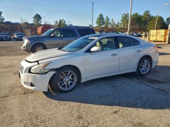  Salvage Nissan Maxima