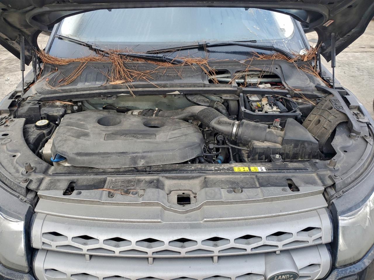 Land Rover Range Rover Pure Plus Image 12