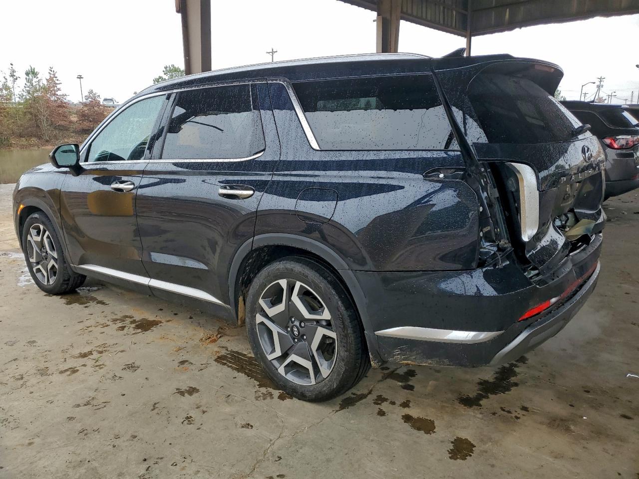Hyundai PALISADE Limited Image 3