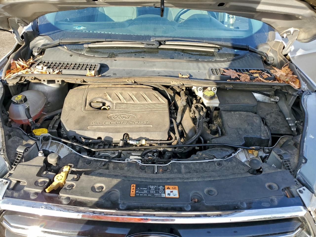 Ford Escape Se Image 7