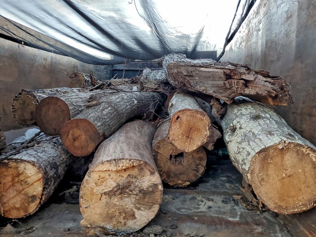 International 4900 4900 Image 6