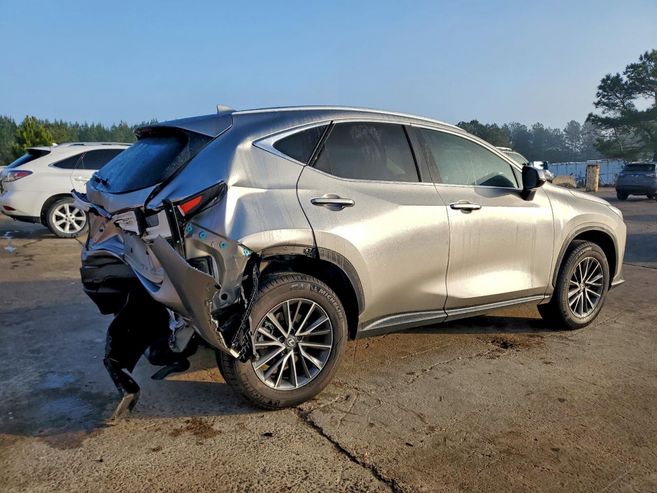 Lexus NX 250 Premium Image 7