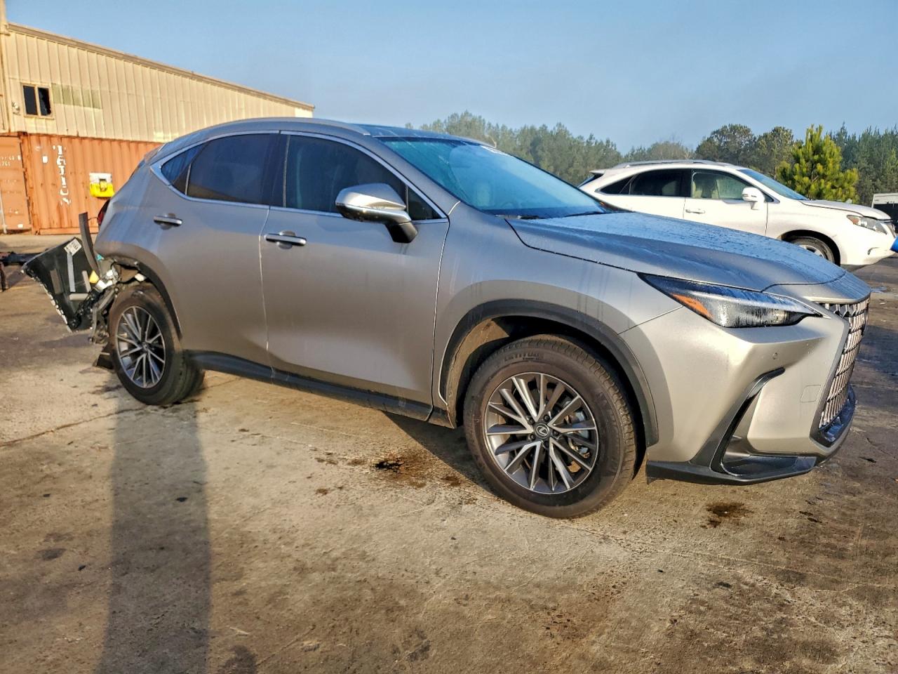 Lexus NX 250 Premium Image 5