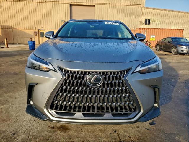 Lexus NX 250 Premium Image 12