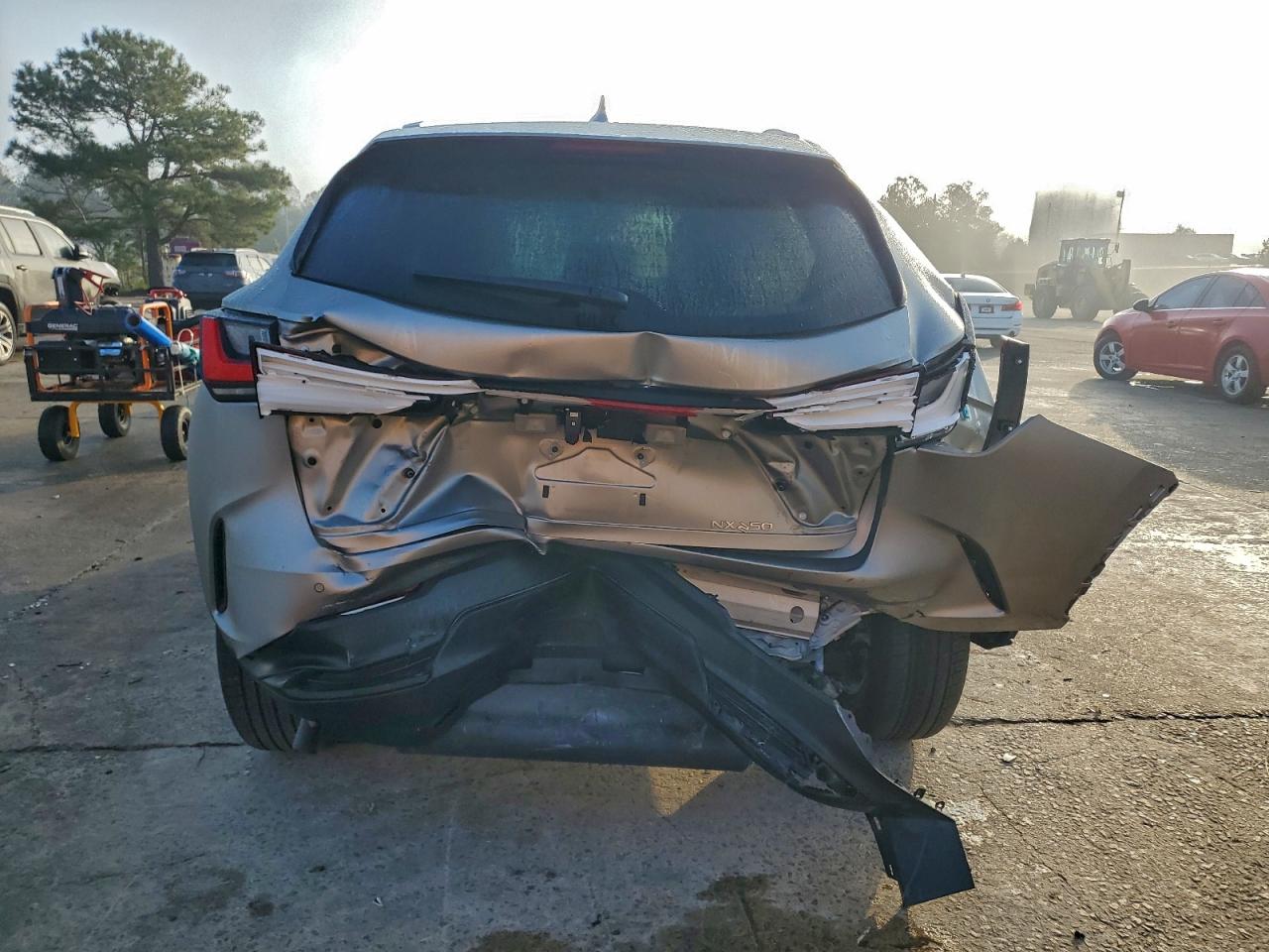 Lexus NX 250 Premium Image 9