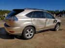 Lexus RX 330 Image 3