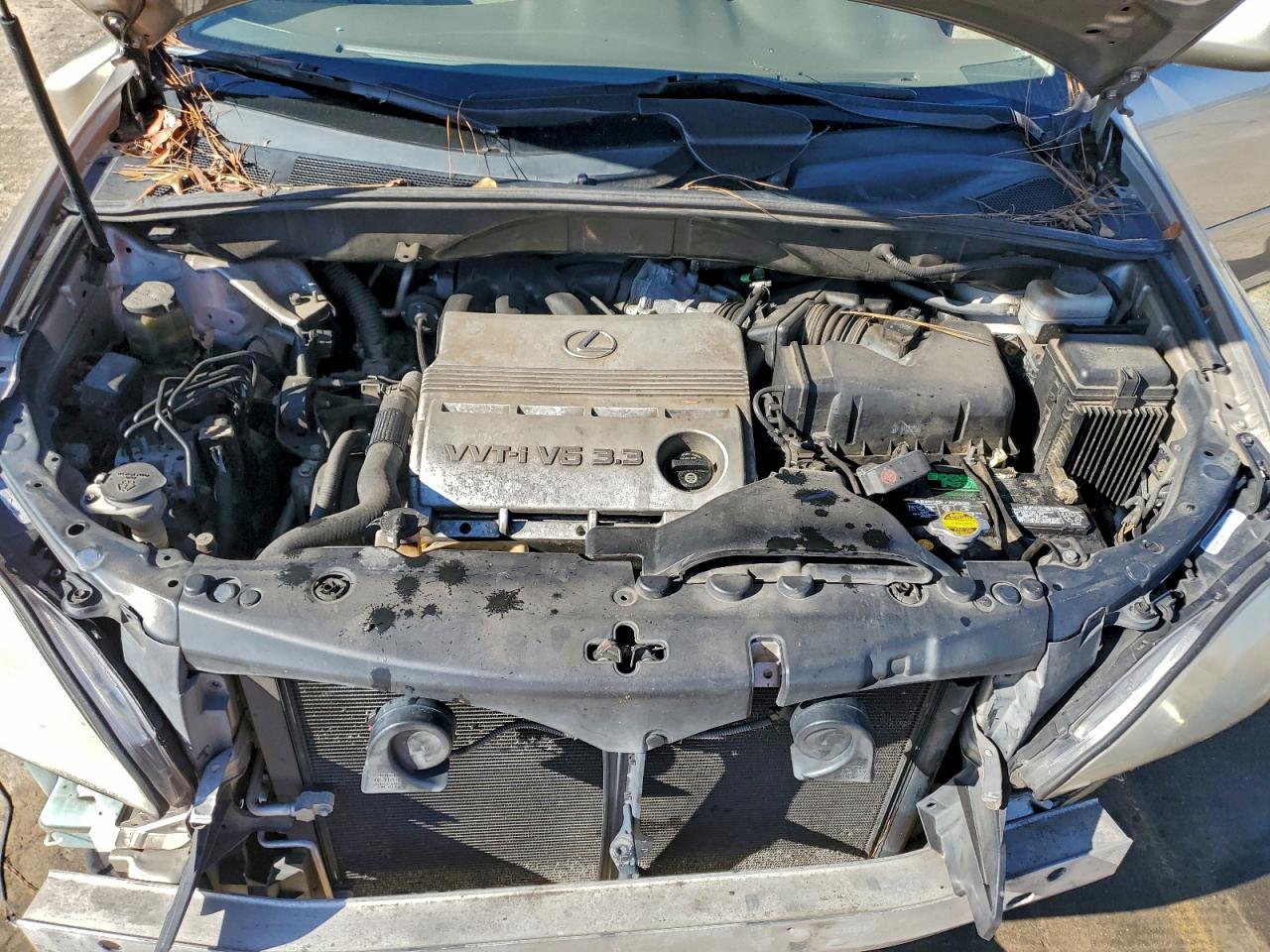 Lexus RX 330 Image 11